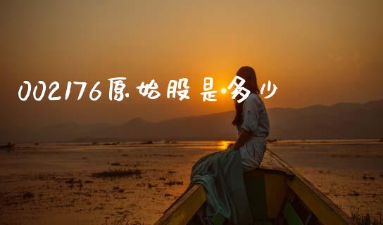 002176原始股是多少_https://wap.lxcailiao.com_金融监管_第1张