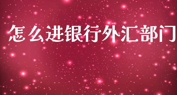 怎么进银行外汇部门_https://wap.lxcailiao.com_金融监管_第1张