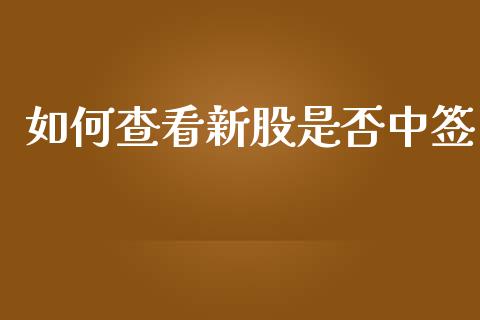 如何查看新股是否中签_https://wap.lxcailiao.com_股权投资_第1张