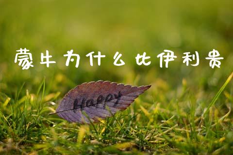 蒙牛为什么比伊利贵_https://wap.lxcailiao.com_融资担保_第1张