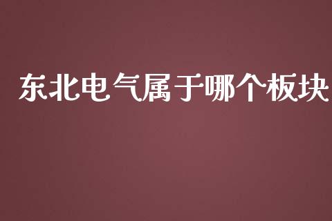 东北电气属于哪个板块_https://wap.lxcailiao.com_融资担保_第1张