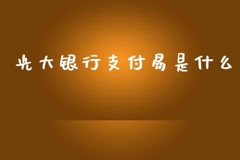 光大银行支付易是什么_https://wap.lxcailiao.com_金融监管_第1张