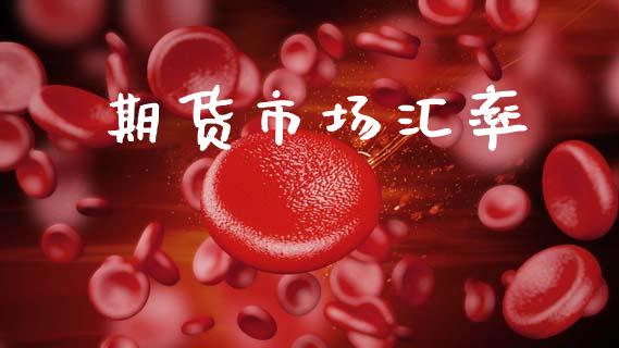 期货市场汇率_https://wap.lxcailiao.com_融资担保_第1张
