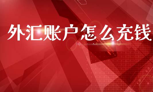外汇账户怎么充钱_https://wap.lxcailiao.com_财务管理_第1张