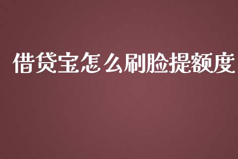 借贷宝怎么刷脸提额度_https://wap.lxcailiao.com_财务管理_第1张