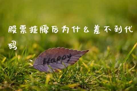 股票挂牌后为什么差不到代码_https://wap.lxcailiao.com_财务管理_第1张