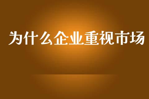 为什么企业重视市场_https://wap.lxcailiao.com_融资担保_第1张