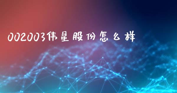 002003伟星股份怎么样_https://wap.lxcailiao.com_财务管理_第1张