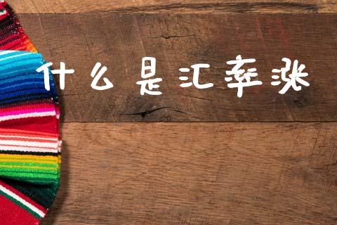什么是汇率涨_https://wap.lxcailiao.com_金融监管_第1张
