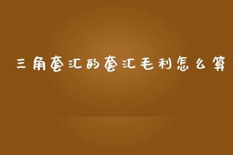 三角套汇的套汇毛利怎么算_https://wap.lxcailiao.com_金融监管_第1张