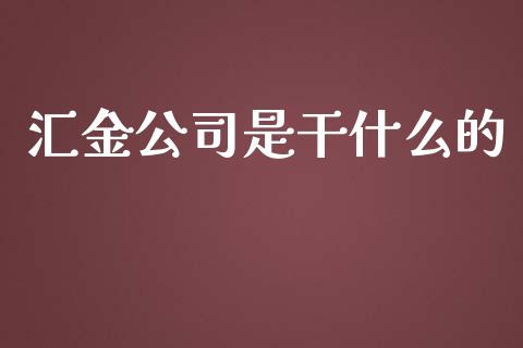 汇金公司是干什么的_https://wap.lxcailiao.com_股权投资_第1张