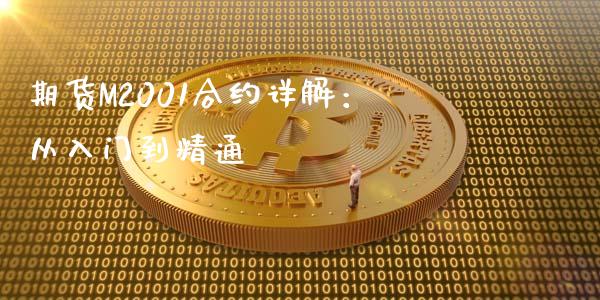 期货M2001合约详解：从入门到精通_https://wap.lxcailiao.com_财务管理_第1张