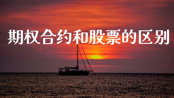 期权合约和股票的区别_https://wap.lxcailiao.com_财务管理_第1张