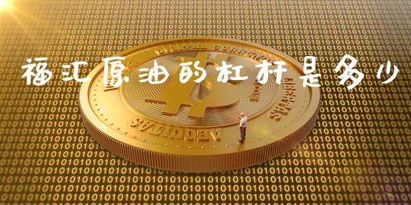 福汇原油的杠杆是多少_https://wap.lxcailiao.com_金融监管_第1张