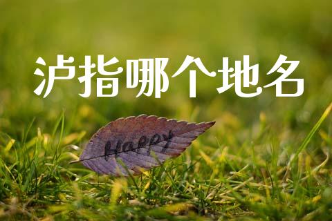 泸指哪个地名_https://wap.lxcailiao.com_股权投资_第1张