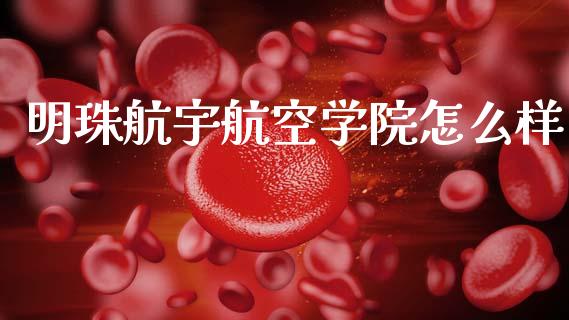 明珠航宇航空学院怎么样_https://wap.lxcailiao.com_金融监管_第1张