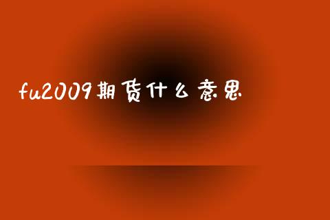 fu2009期货什么意思_https://wap.lxcailiao.com_股权投资_第1张