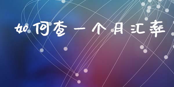 如何查一个月汇率_https://wap.lxcailiao.com_金融监管_第1张