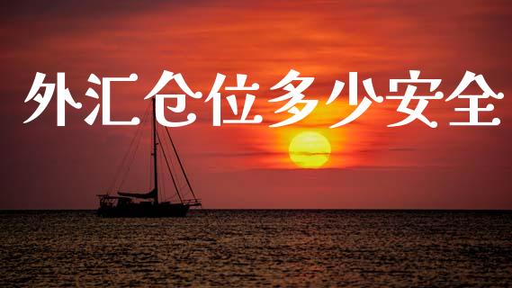 外汇仓位多少安全_https://wap.lxcailiao.com_财务管理_第1张