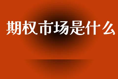 期权市场是什么_https://wap.lxcailiao.com_股权投资_第1张