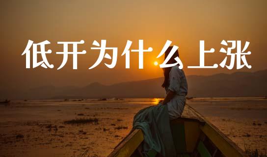 低开为什么上涨_https://wap.lxcailiao.com_融资担保_第1张
