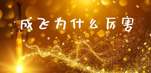 成飞为什么厉害_https://wap.lxcailiao.com_金融监管_第1张
