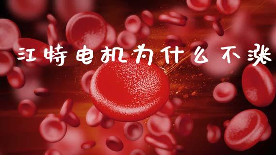 江特电机为什么不涨_https://wap.lxcailiao.com_融资担保_第1张
