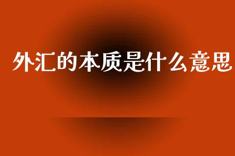 外汇的本质是什么意思_https://wap.lxcailiao.com_金融监管_第1张
