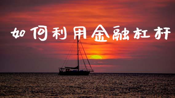 如何利用金融杠杆_https://wap.lxcailiao.com_融资担保_第1张