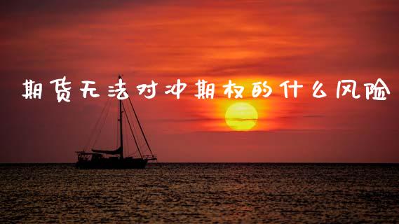 期货无法对冲期权的什么风险_https://wap.lxcailiao.com_财务管理_第1张