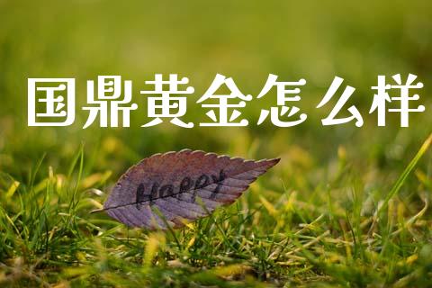 国鼎黄金怎么样_https://wap.lxcailiao.com_股权投资_第1张