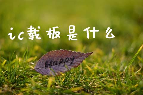 ic载板是什么_https://wap.lxcailiao.com_财务管理_第1张