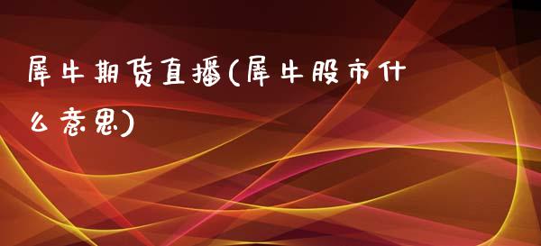 犀牛期货直播(犀牛股市什么意思)_https://wap.lxcailiao.com_融资担保_第1张