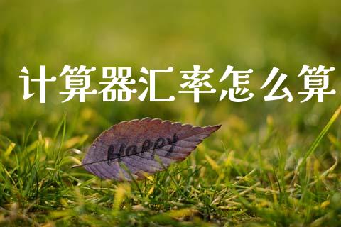 计算器汇率怎么算_https://wap.lxcailiao.com_财务管理_第1张