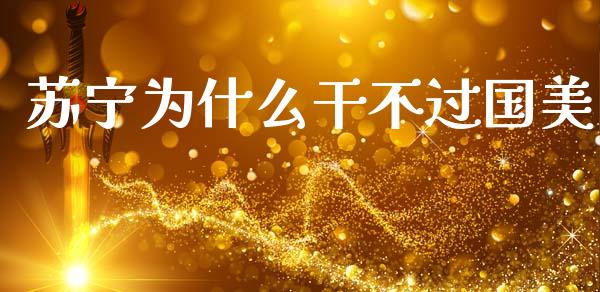 苏宁为什么干不过国美_https://wap.lxcailiao.com_财务管理_第1张