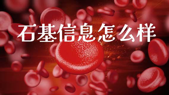 石基信息怎么样_https://wap.lxcailiao.com_股权投资_第1张