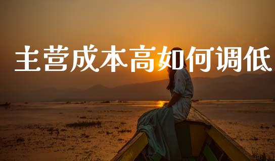主营成本高如何调低_https://wap.lxcailiao.com_金融监管_第1张