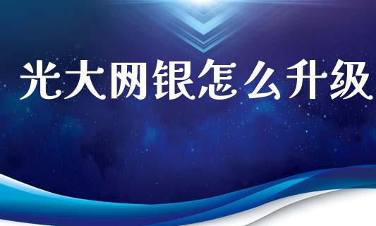光大网银怎么升级_https://wap.lxcailiao.com_融资担保_第1张