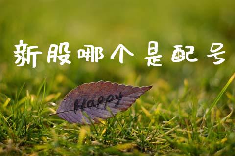 新股哪个是配号_https://wap.lxcailiao.com_融资担保_第1张