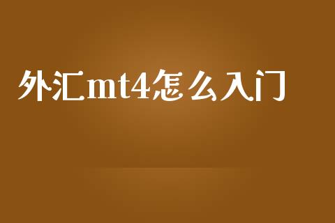 外汇mt4怎么入门_https://wap.lxcailiao.com_金融监管_第1张