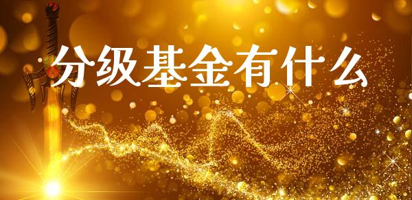 分级基金有什么_https://wap.lxcailiao.com_金融监管_第1张