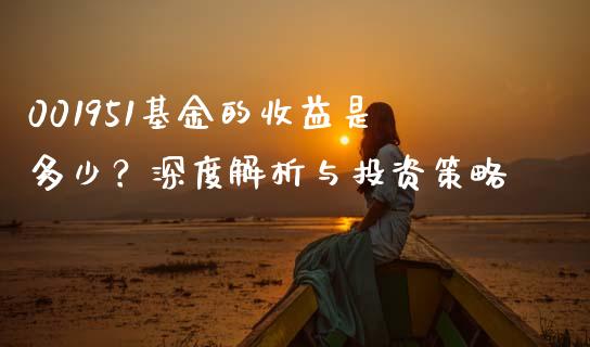 001951基金的收益是多少？深度解析与投资策略_https://wap.lxcailiao.com_股权投资_第1张