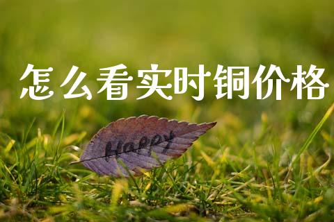 怎么看实时铜价格_https://wap.lxcailiao.com_金融监管_第1张