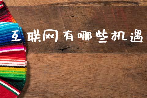 互联网有哪些机遇_https://wap.lxcailiao.com_融资担保_第1张