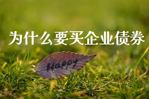 为什么要买企业债券_https://wap.lxcailiao.com_融资担保_第1张