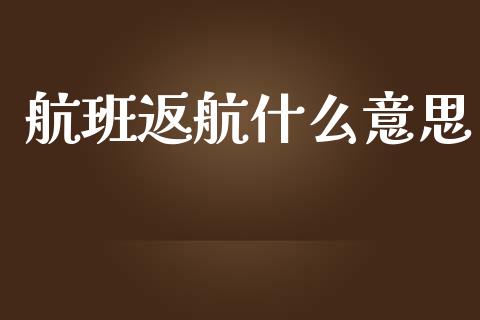 航班返航什么意思_https://wap.lxcailiao.com_融资担保_第1张