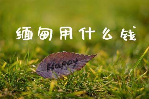 缅甸用什么钱_https://wap.lxcailiao.com_财务管理_第1张