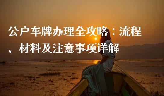 公户车牌办理全攻略：流程、材料及注意事项详解_https://wap.lxcailiao.com_金融监管_第1张