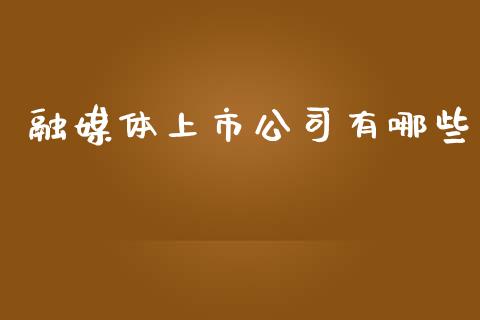 融媒体上市公司有哪些_https://wap.lxcailiao.com_金融监管_第1张