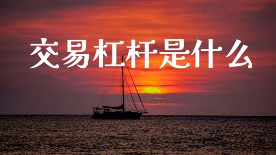 交易杠杆是什么_https://wap.lxcailiao.com_财务管理_第1张